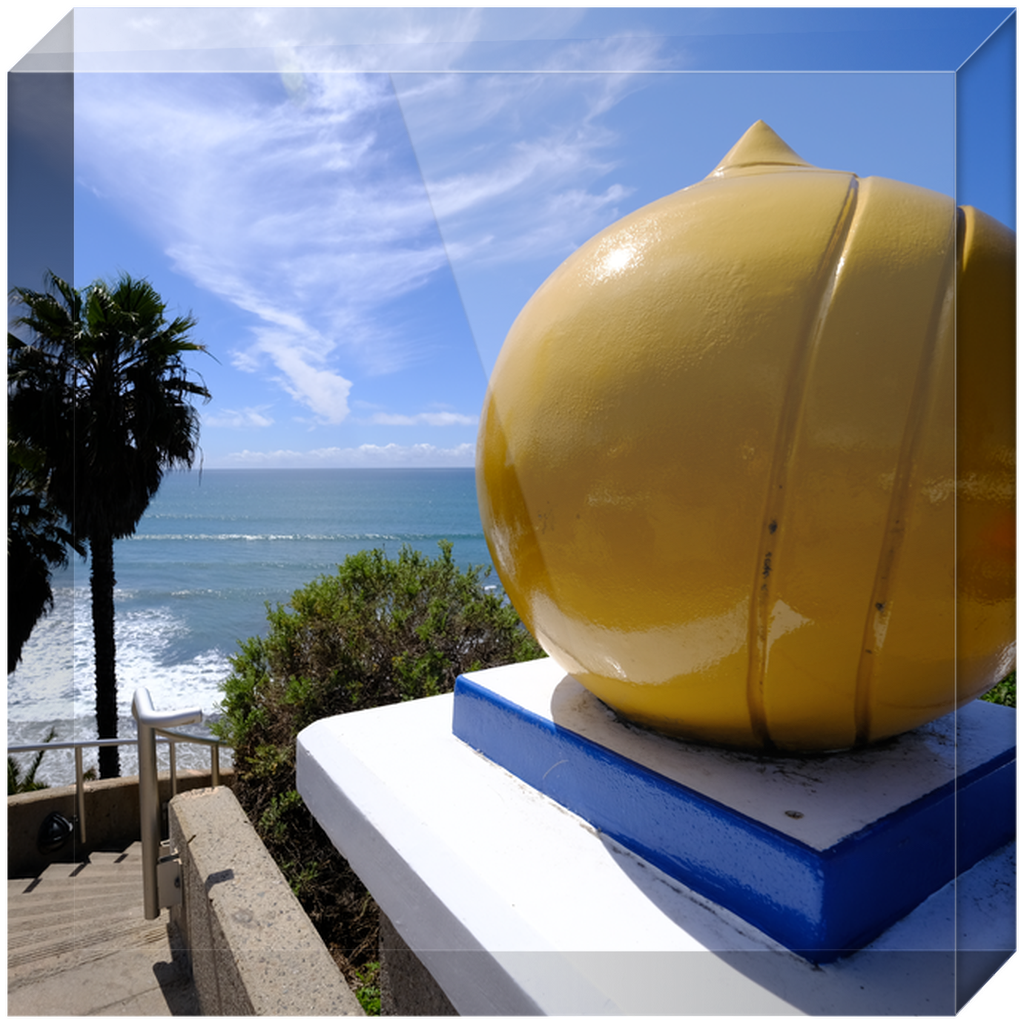 Swami's Acrylic Block Prints