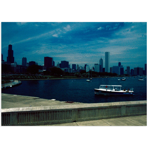 Allons-y Board! 5x7 Canvas Mini