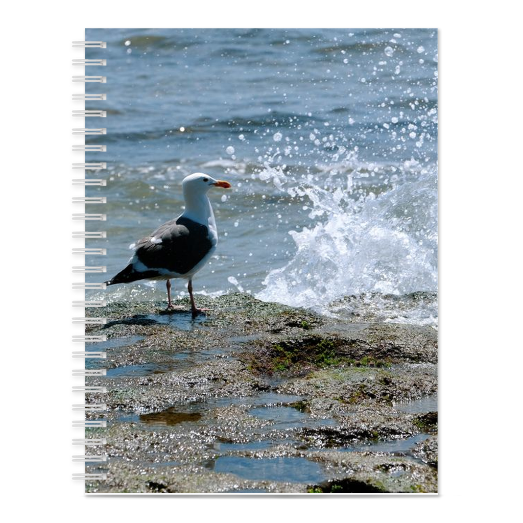 Splish Splash Seagull Notebook