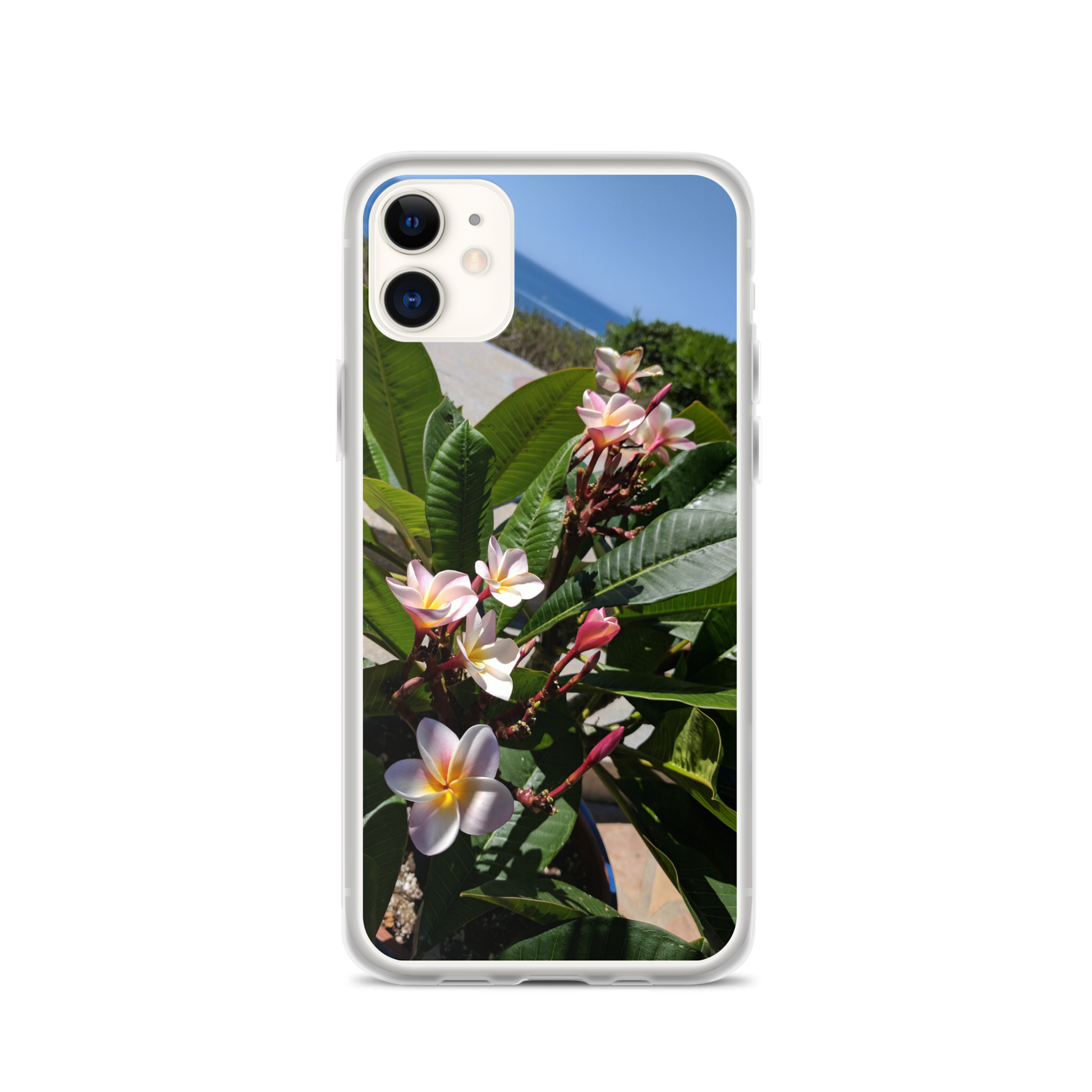 Positively Plumeria iPhone Case