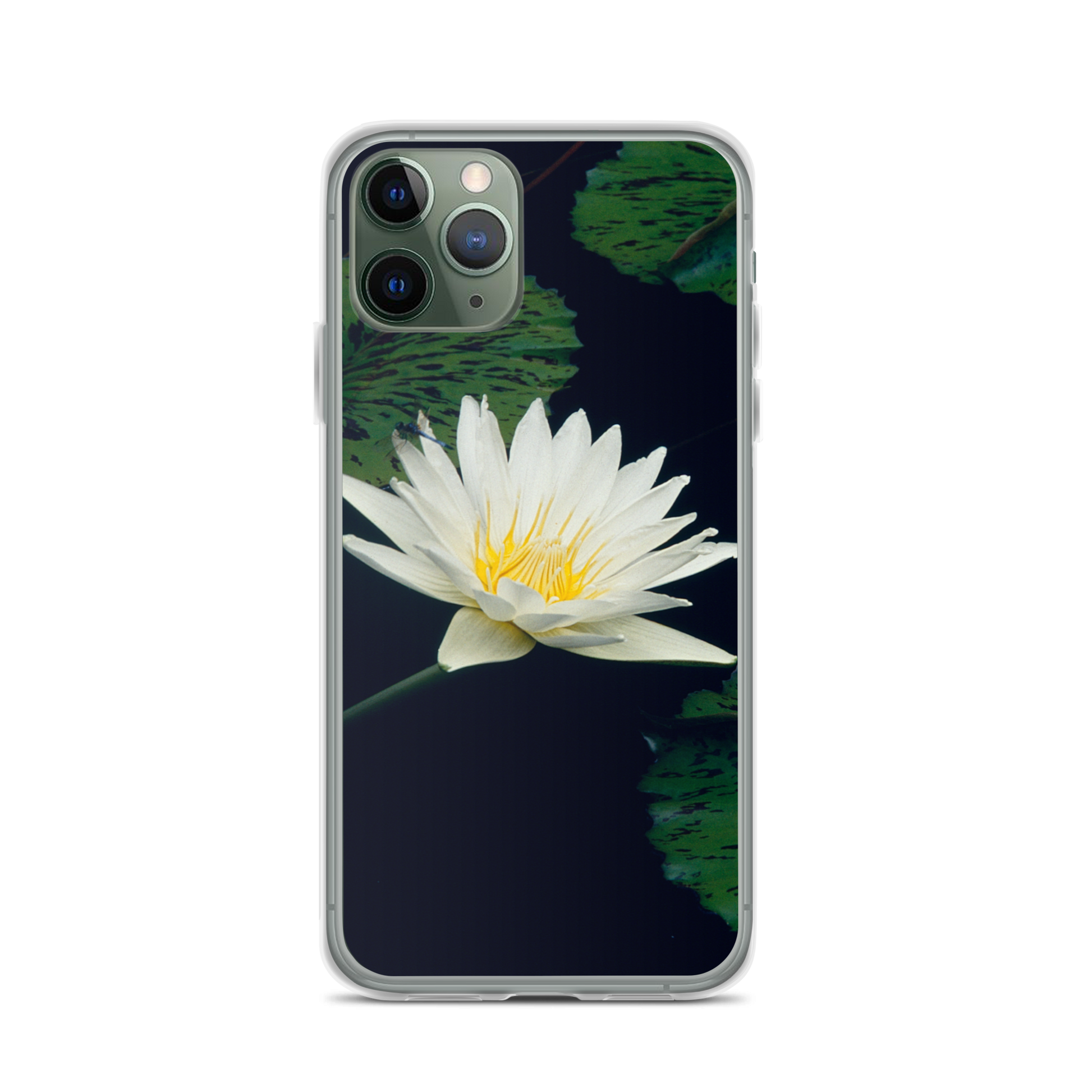 Water Lily iPhone Case