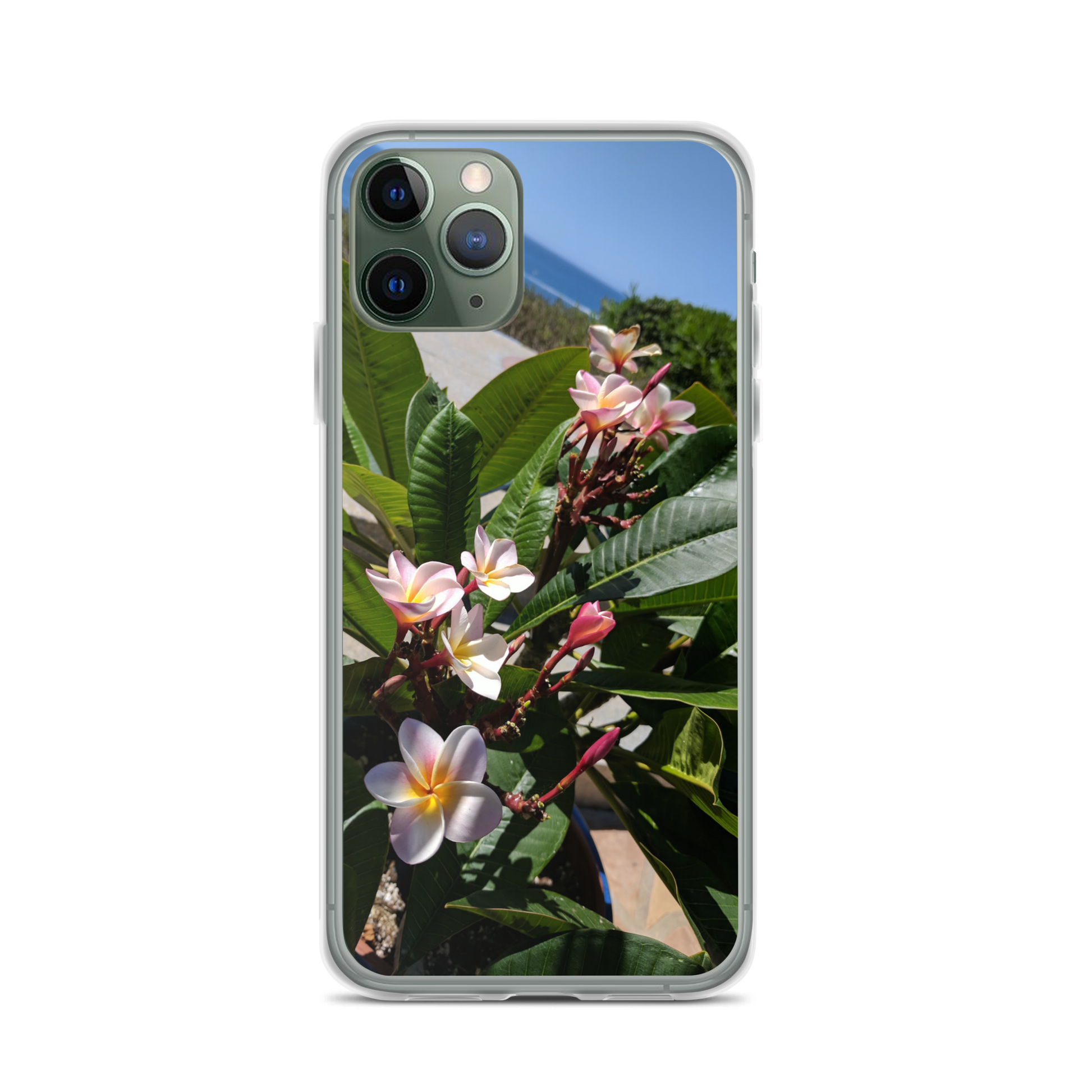 Positively Plumeria iPhone Case