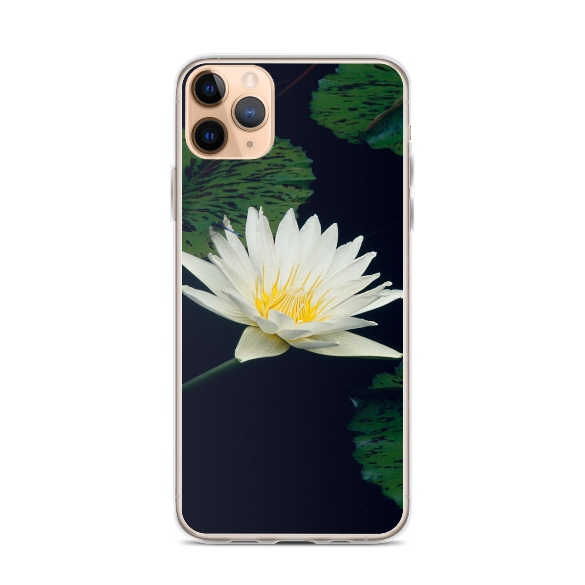 Water Lily iPhone Case