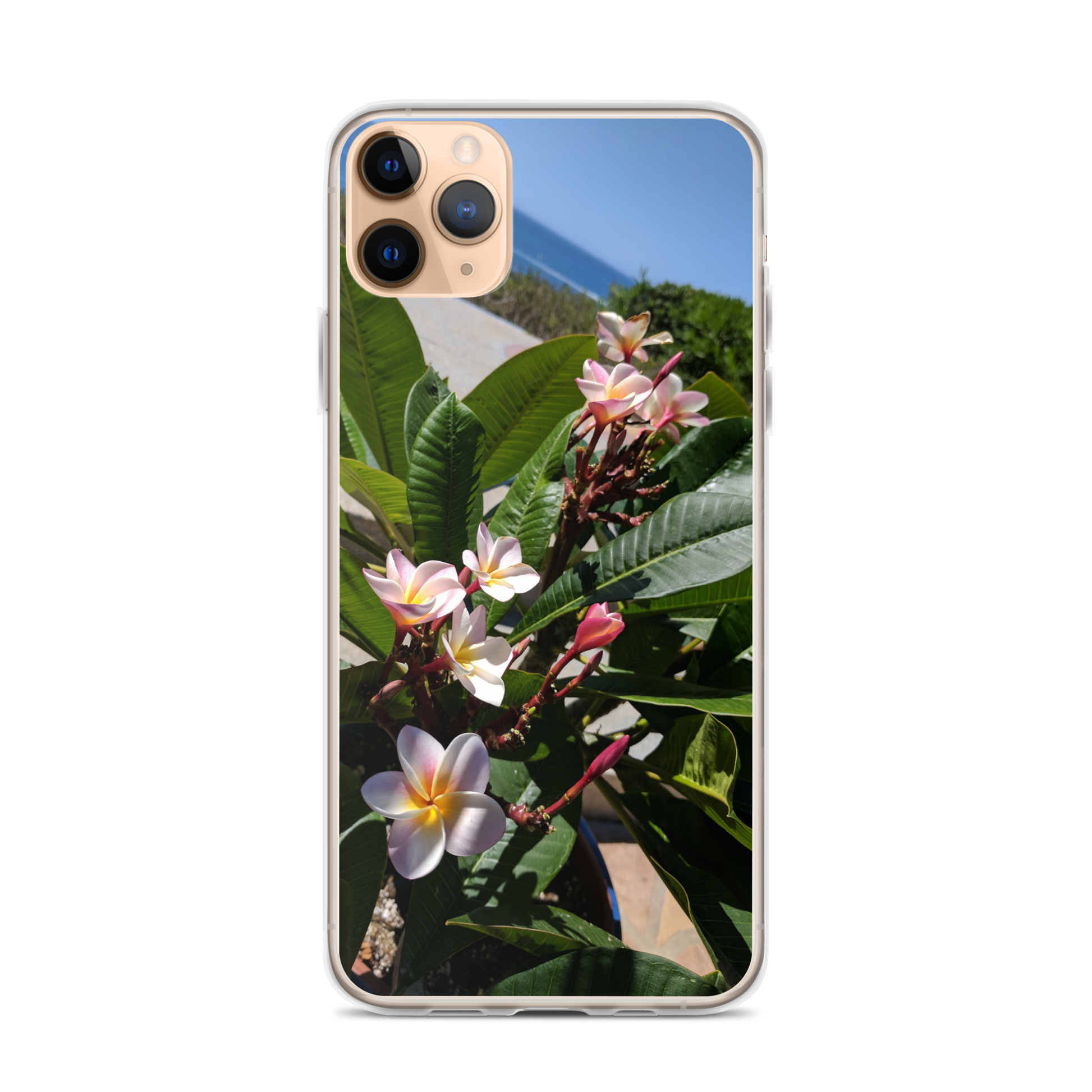 Positively Plumeria iPhone Case