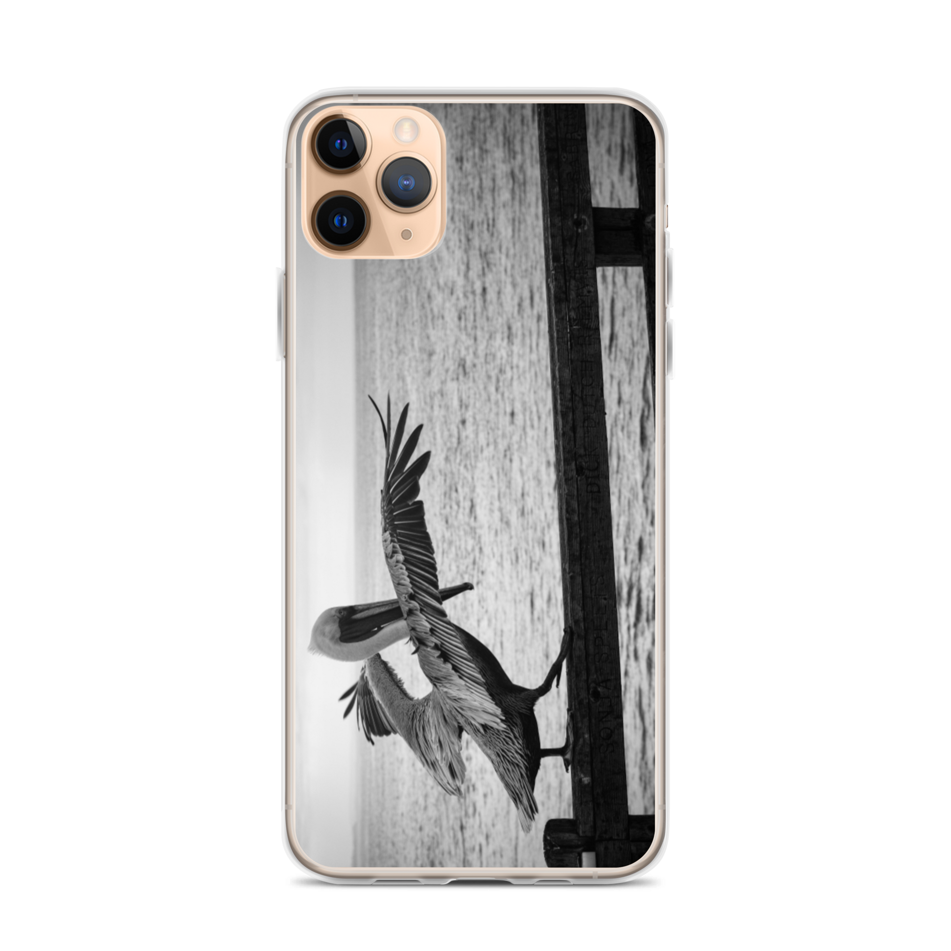 Pelican on a Pier iPhone Case