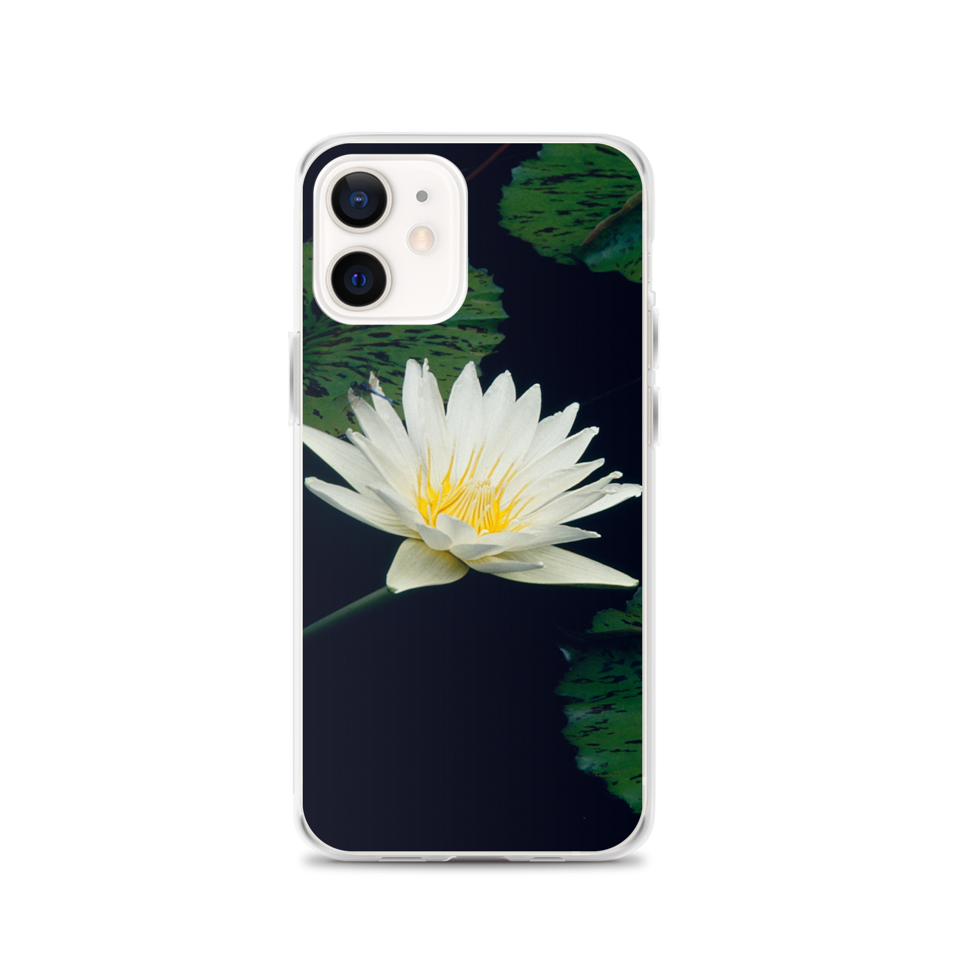 Water Lily iPhone Case