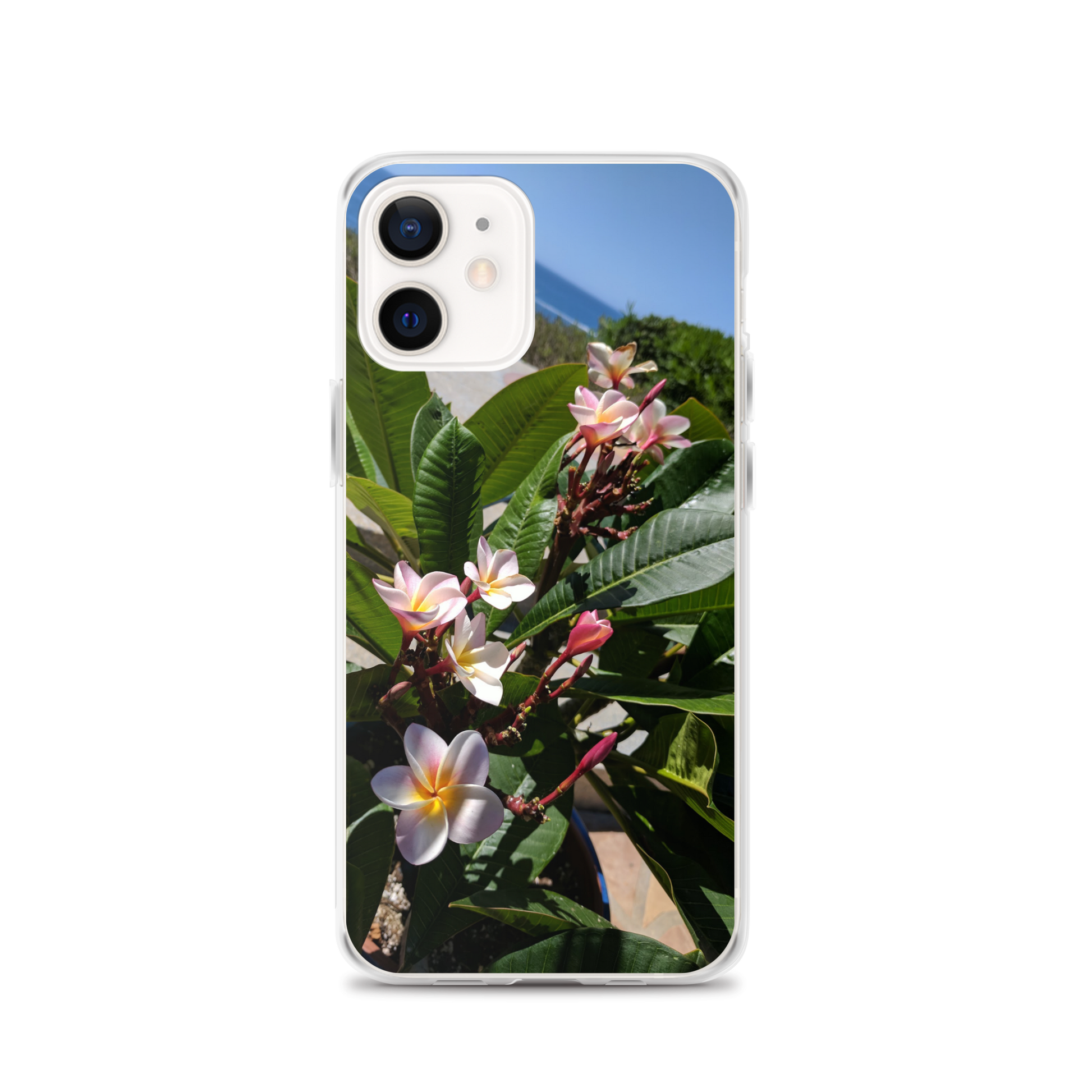 Positively Plumeria iPhone Case