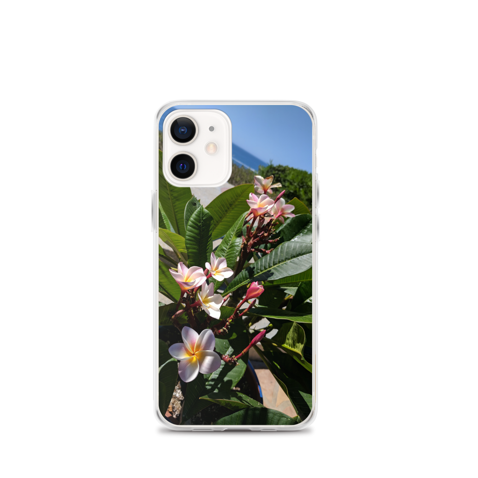Positively Plumeria iPhone Case