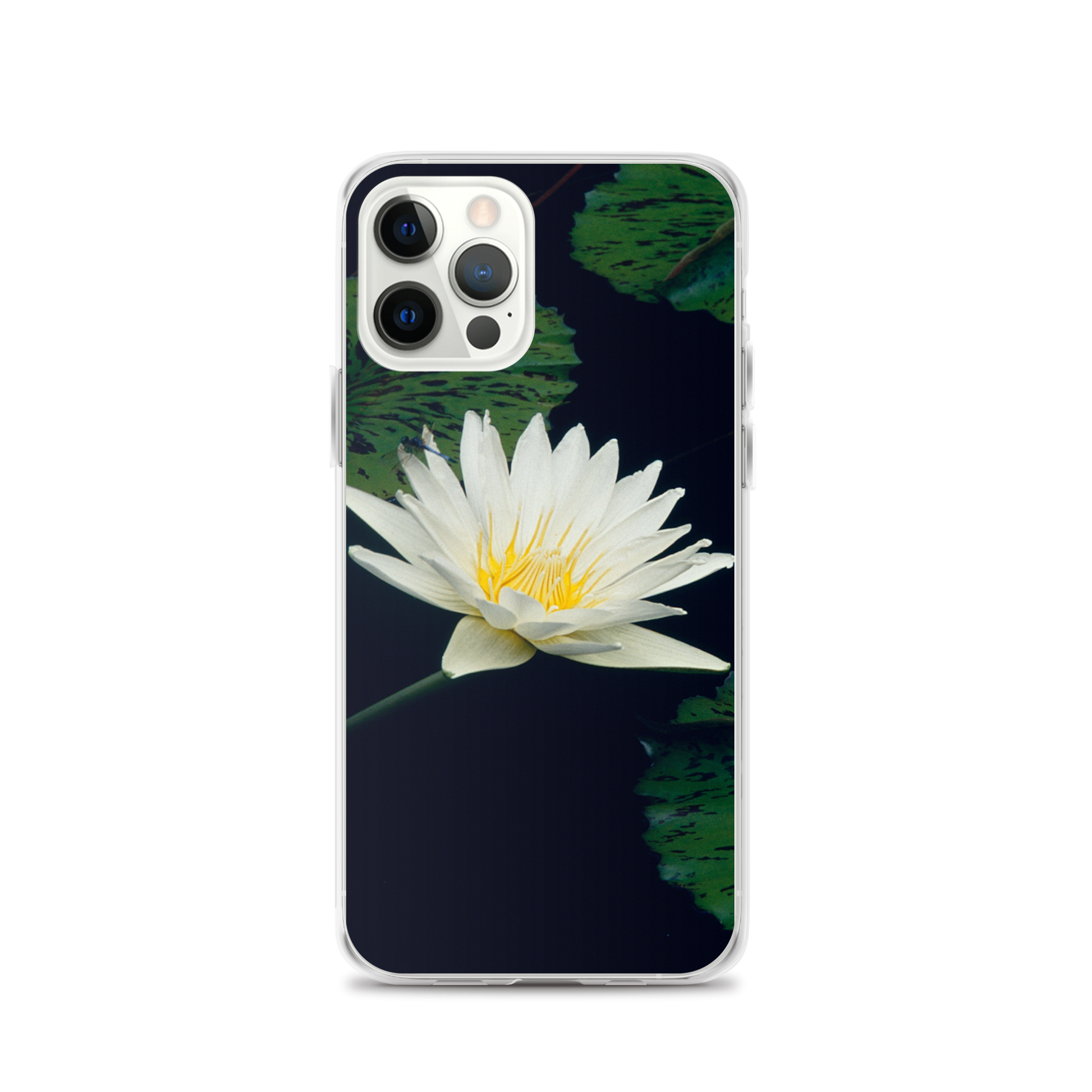 Water Lily iPhone Case