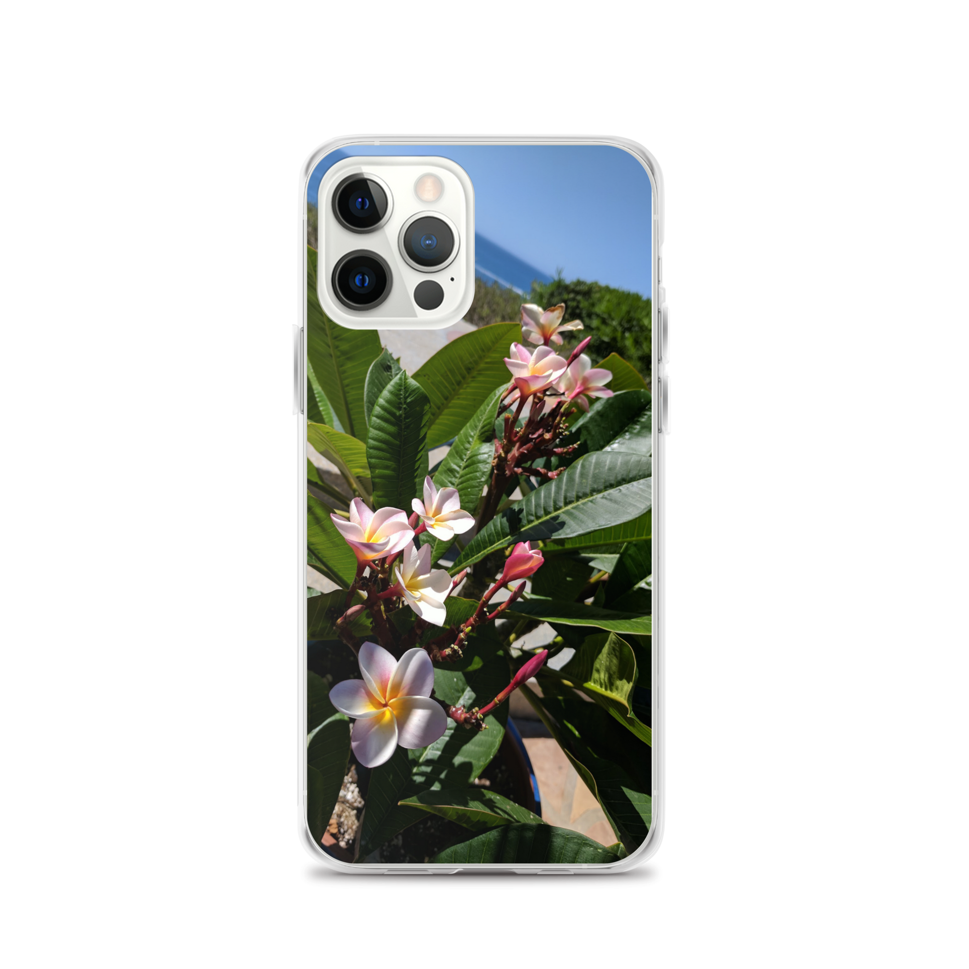 Positively Plumeria iPhone Case