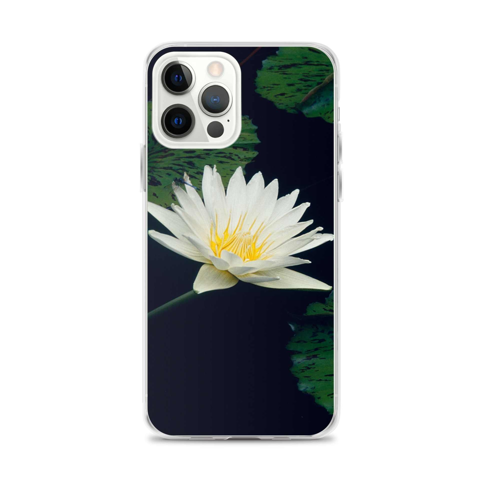 Water Lily iPhone Case