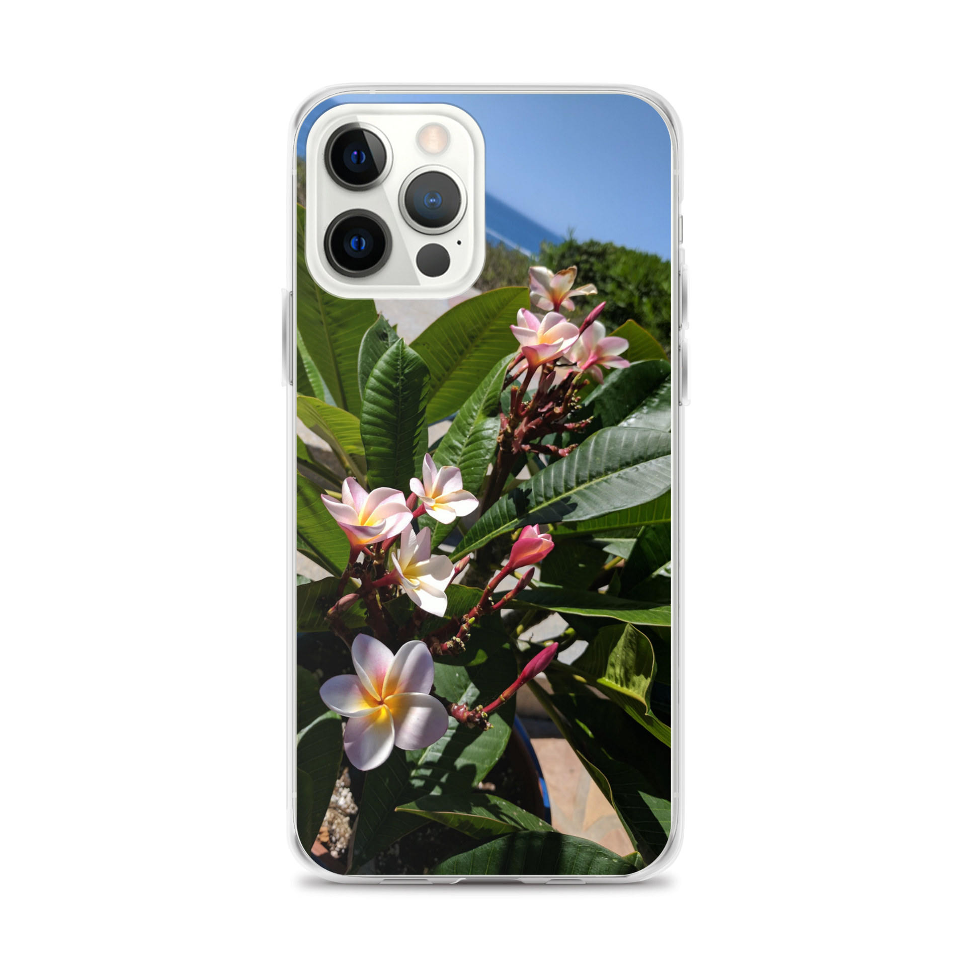 Positively Plumeria iPhone Case