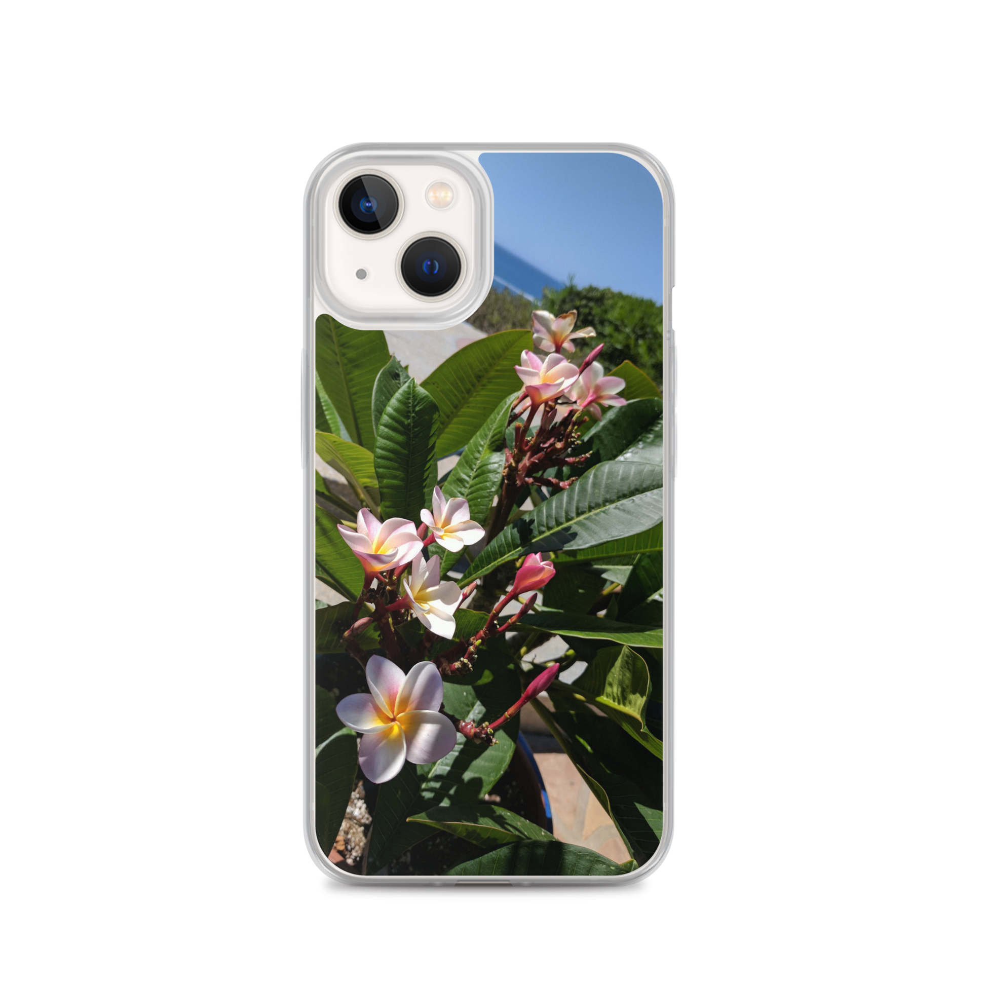 Positively Plumeria iPhone Case