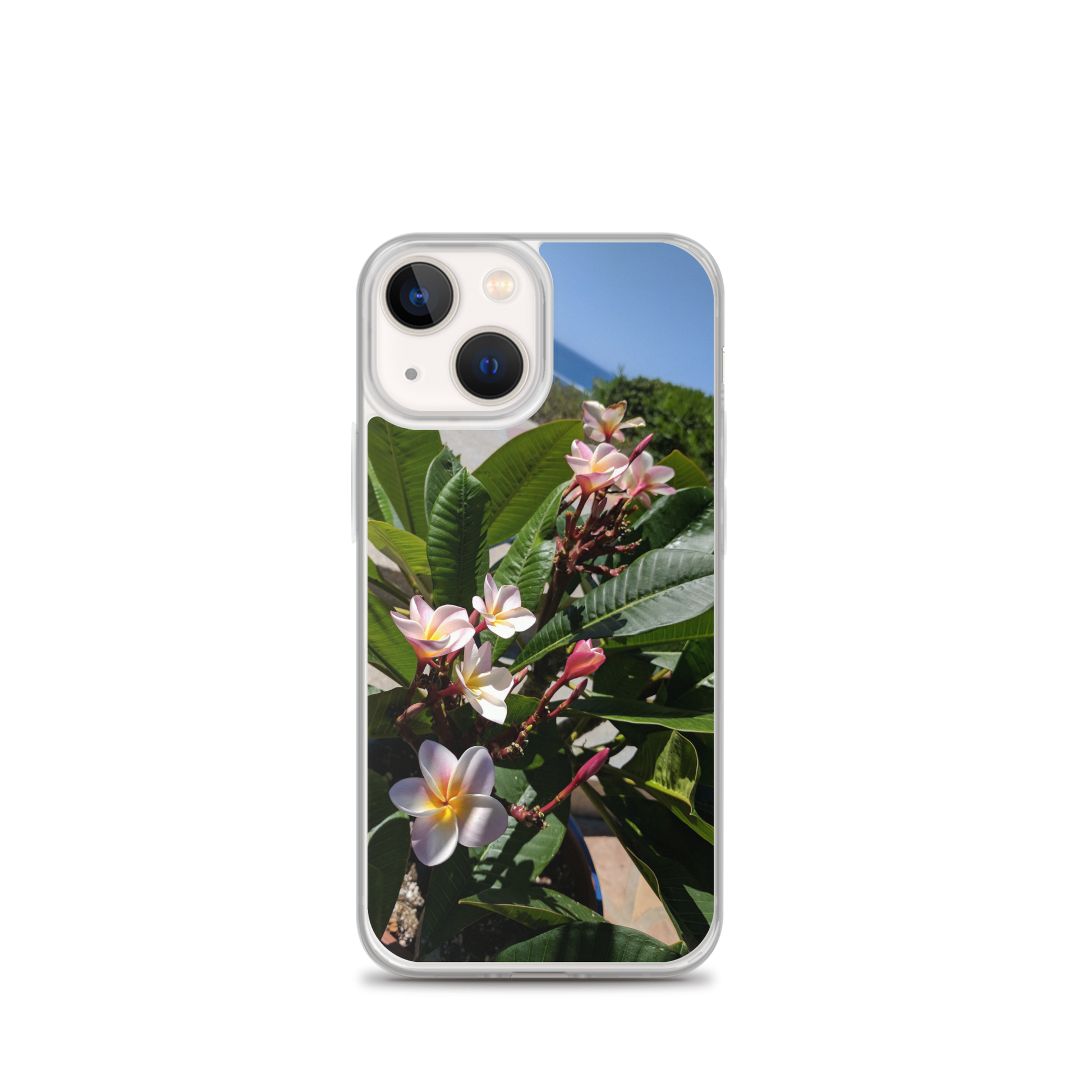 Positively Plumeria iPhone Case