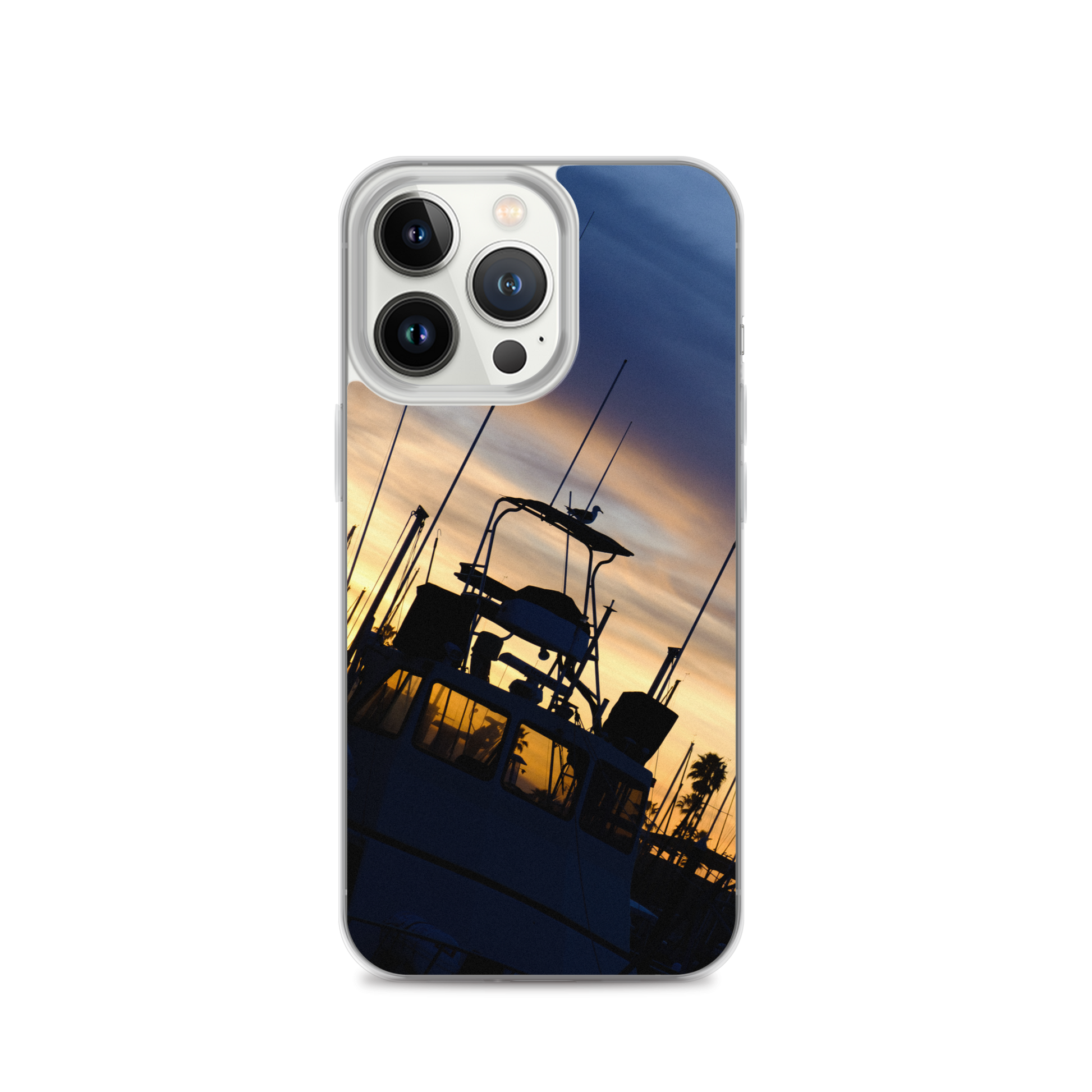 Bird on a Boat iPhone Case