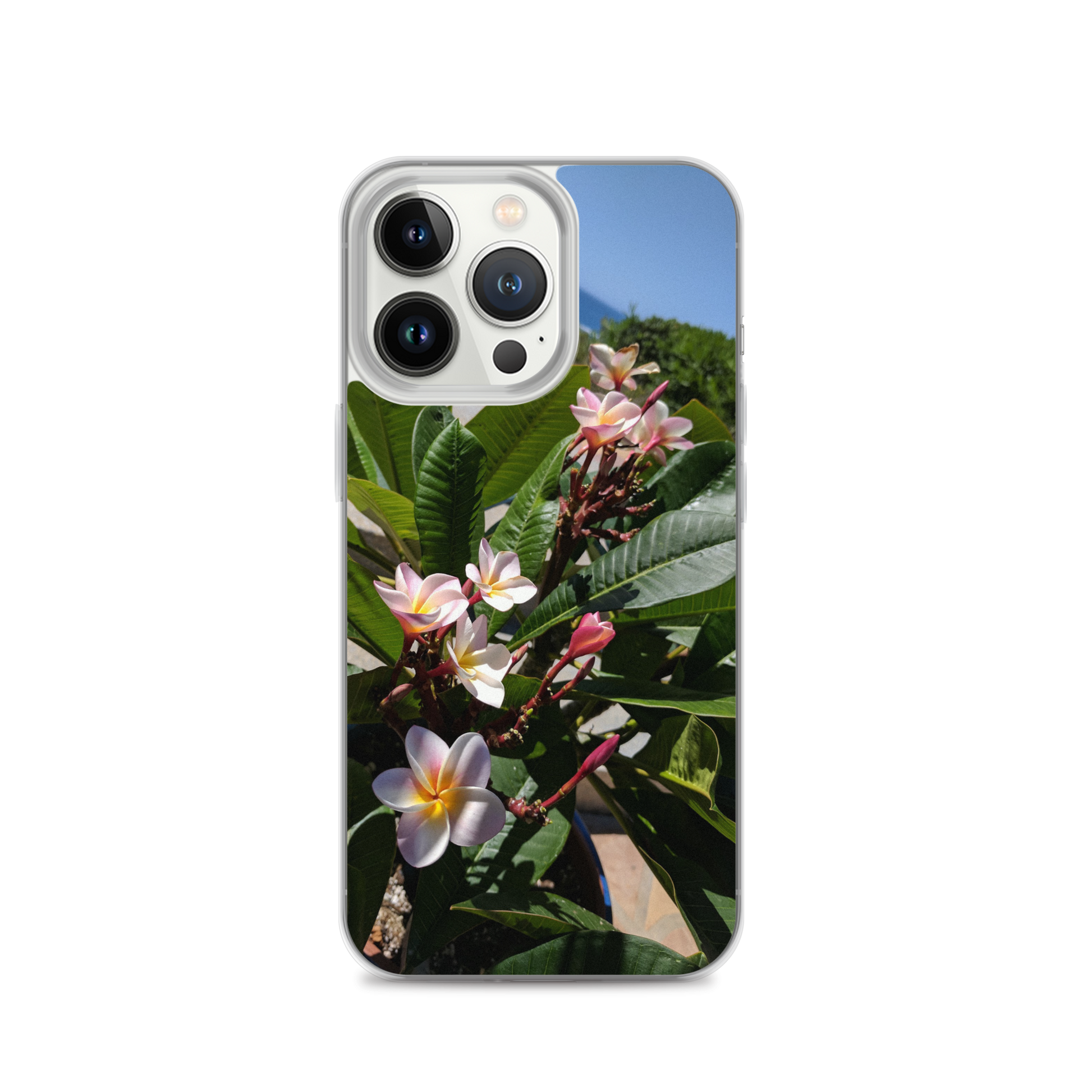 Positively Plumeria iPhone Case