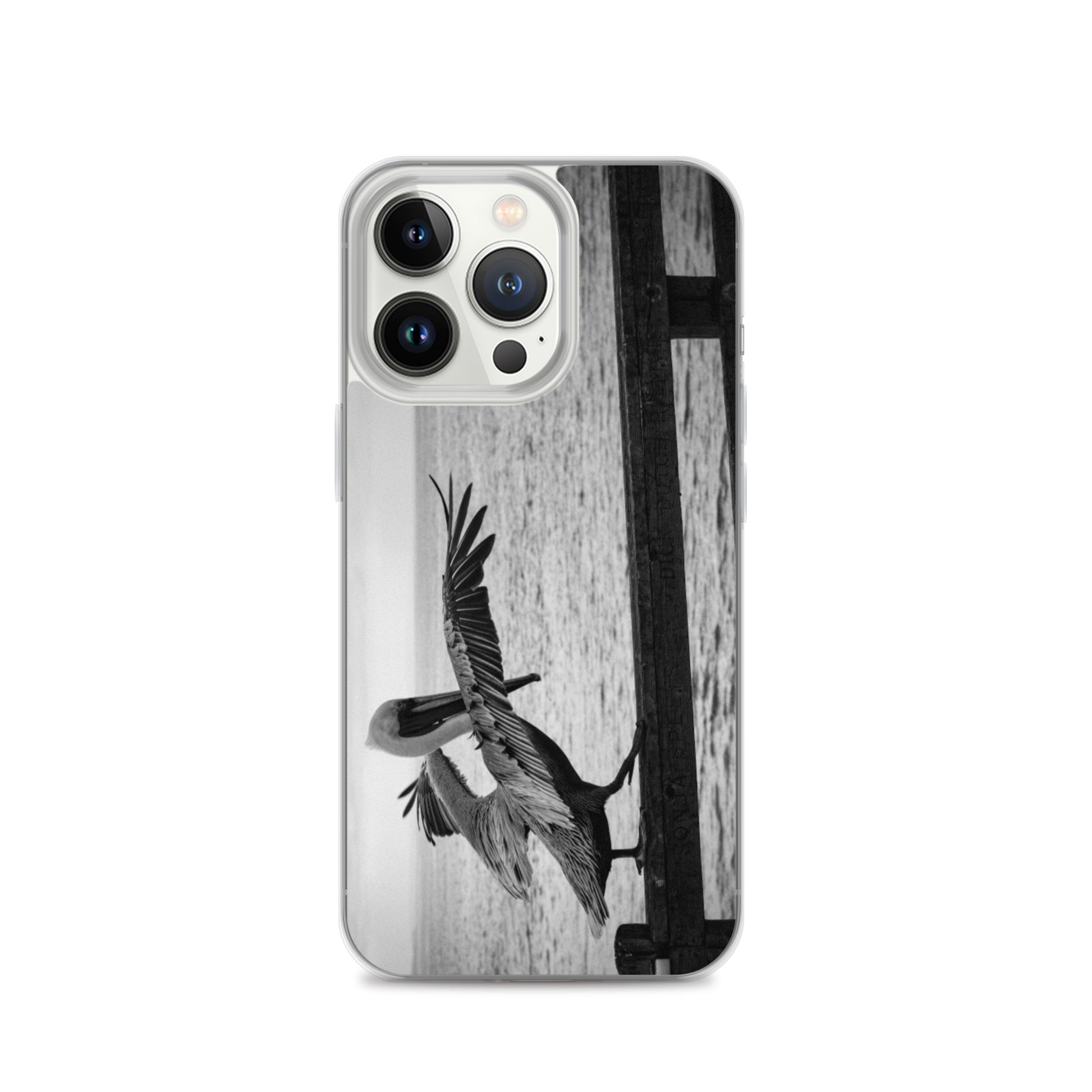 Pelican on a Pier iPhone Case