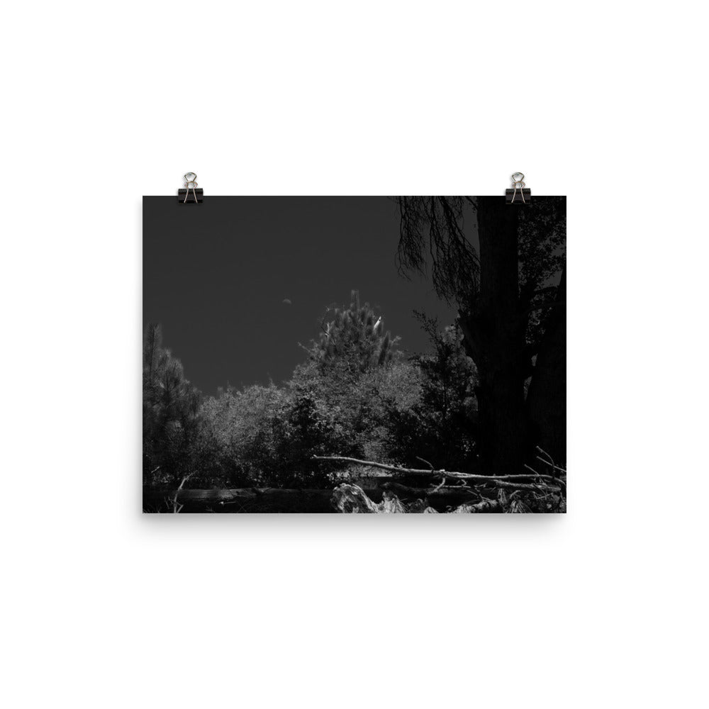 Day for Night Poster