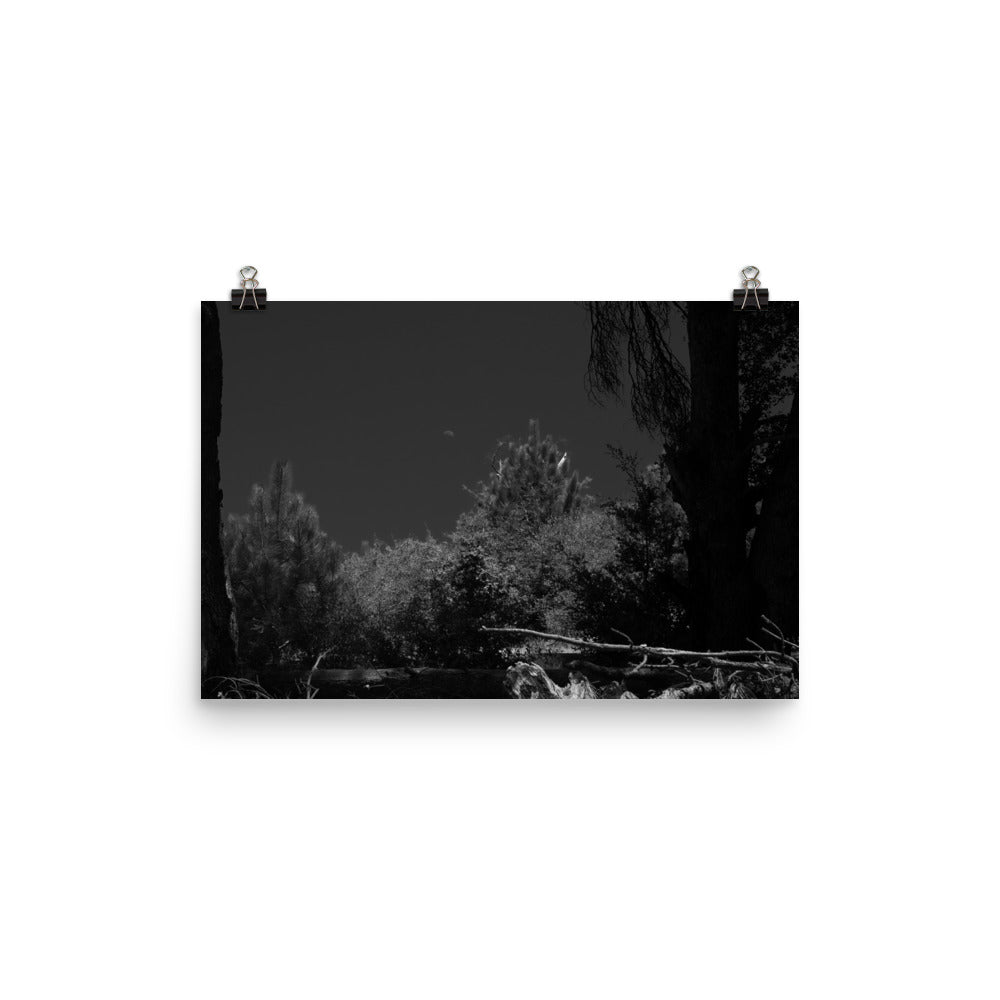 Day for Night Poster