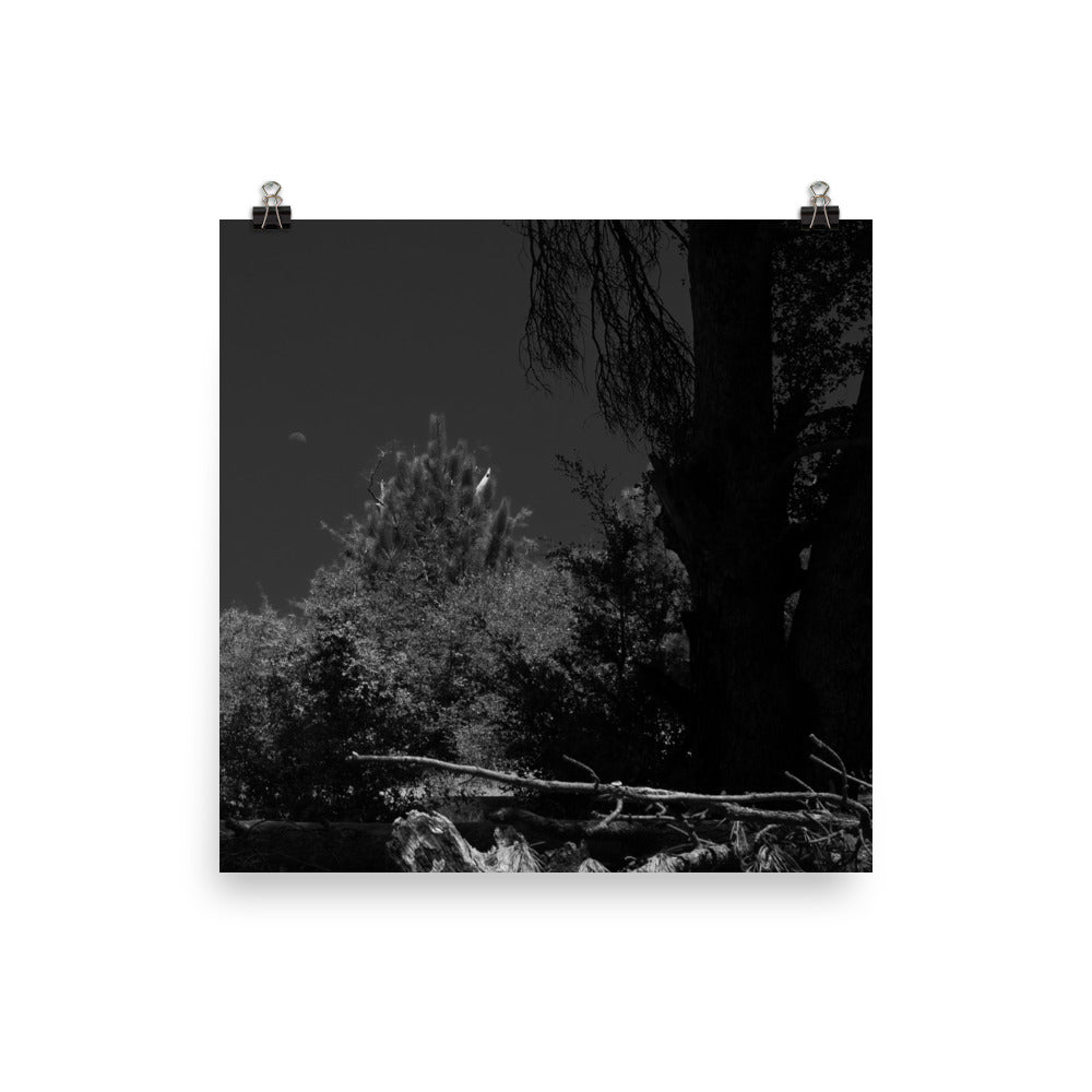 Day for Night Poster