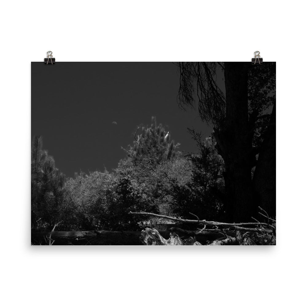 Day for Night Poster