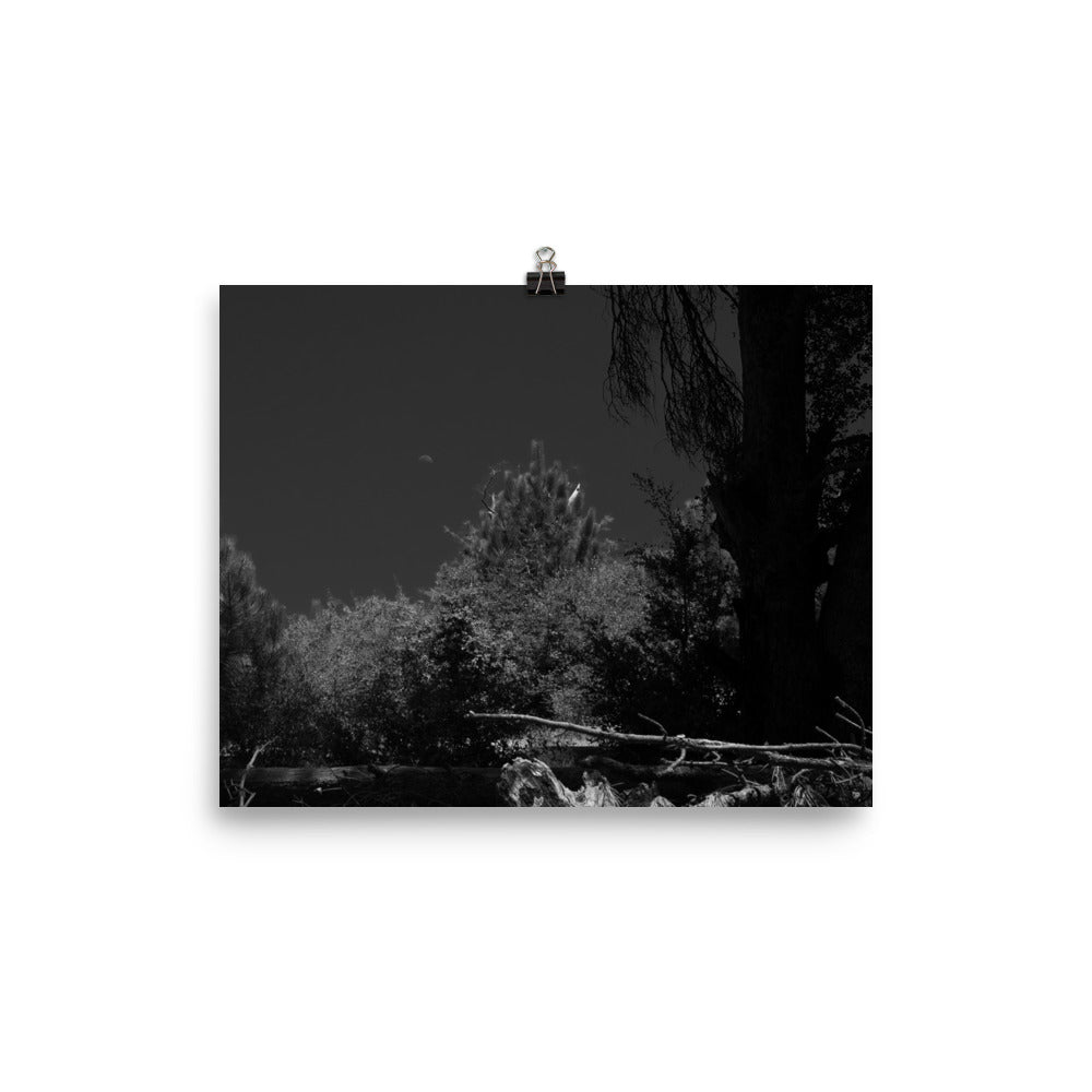 Day for Night Poster