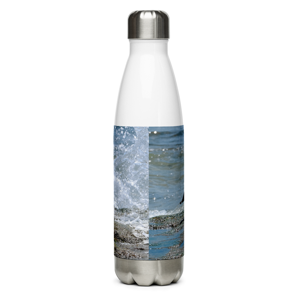 Splish Splash Seagull Stainless Steel Water Bottle
