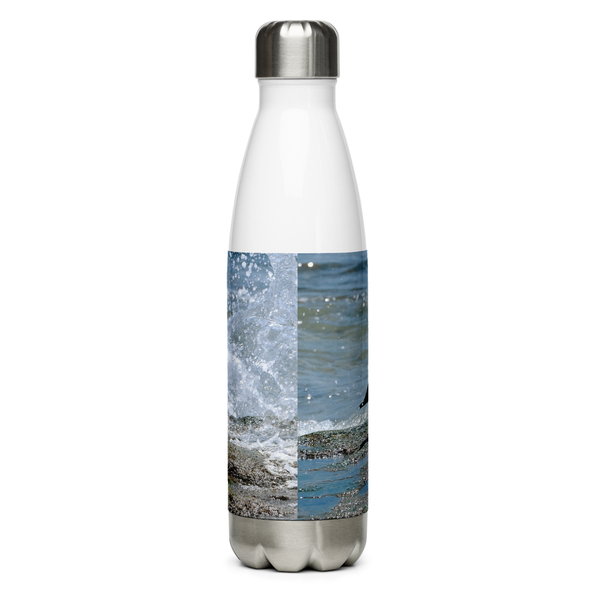 Splish Splash Seagull Stainless Steel Water Bottle
