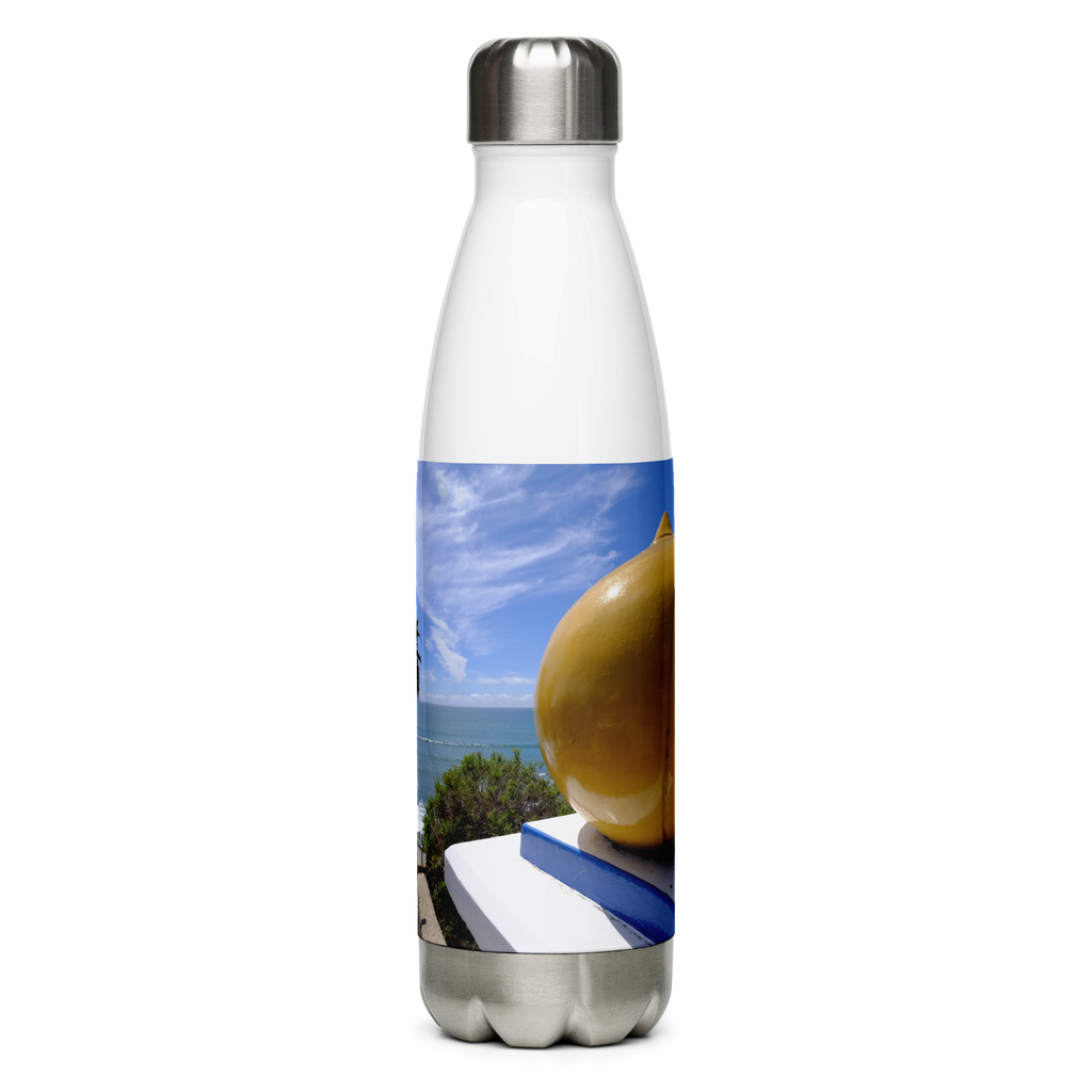 Swami's Stainless Steel Water Bottle