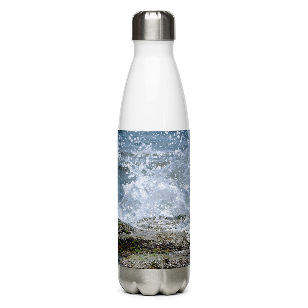Splish Splash Seagull Stainless Steel Water Bottle