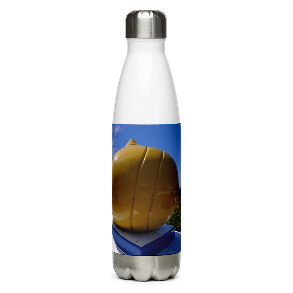 Swami's Stainless Steel Water Bottle