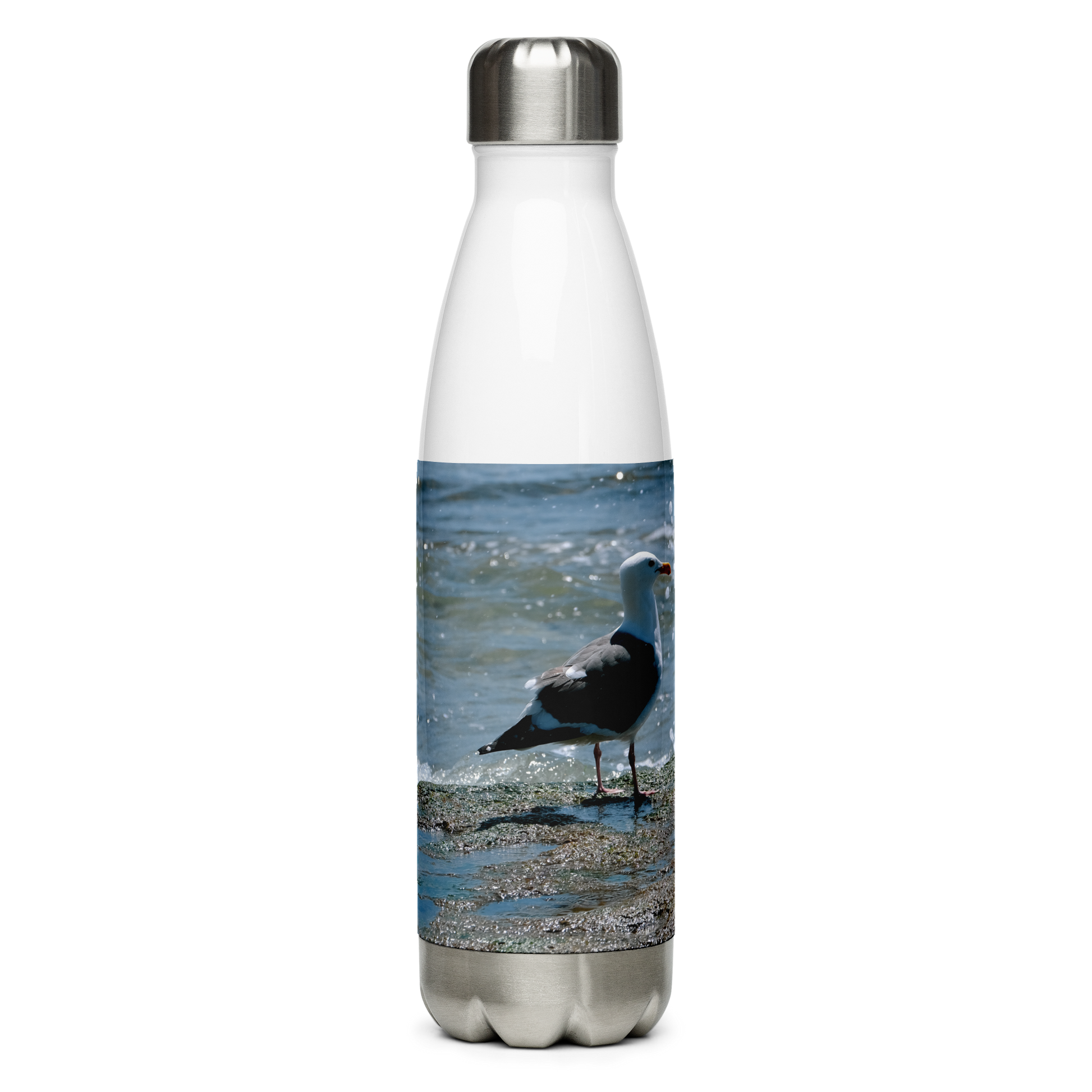 Splish Splash Seagull Stainless Steel Water Bottle