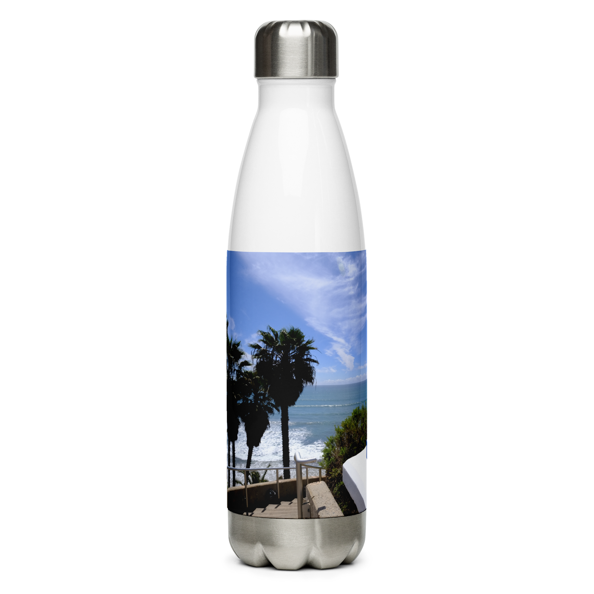 Swami's Stainless Steel Water Bottle