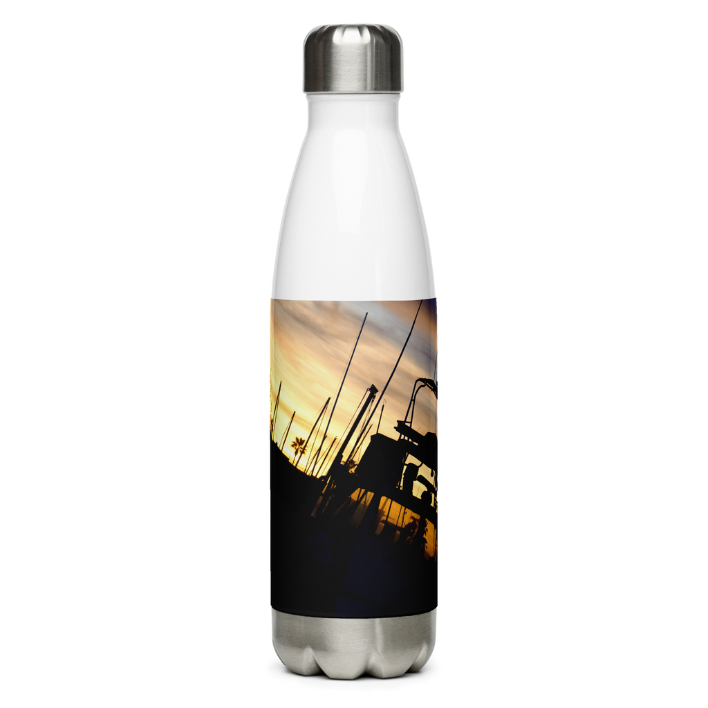 Bird on a Boat Stainless Steel Water Bottle