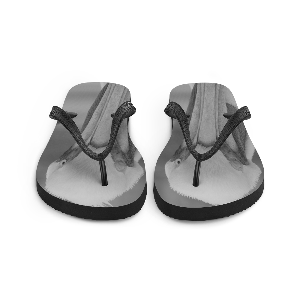 Pelican on a Pier Flip-Flops