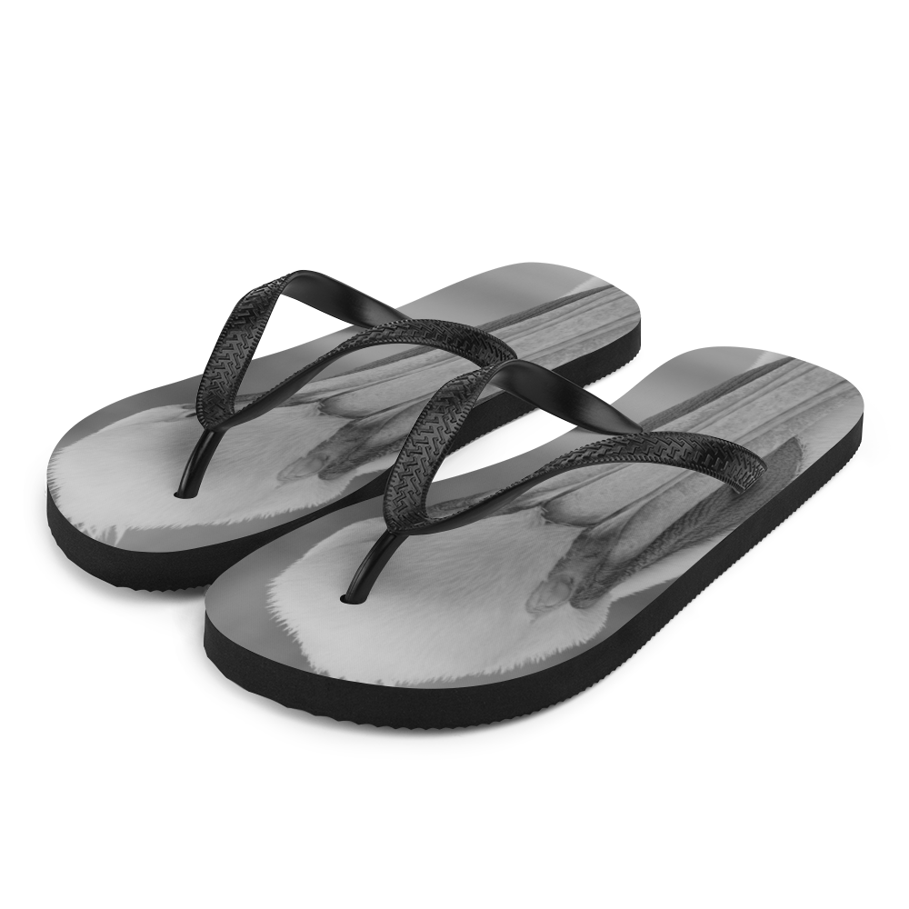 Pelican on a Pier Flip-Flops